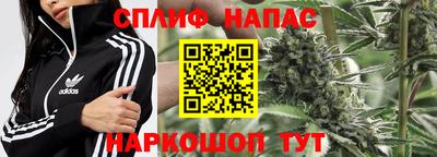 гашик Гуково