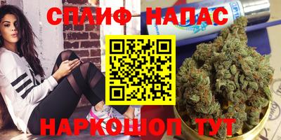 гашик Гуково
