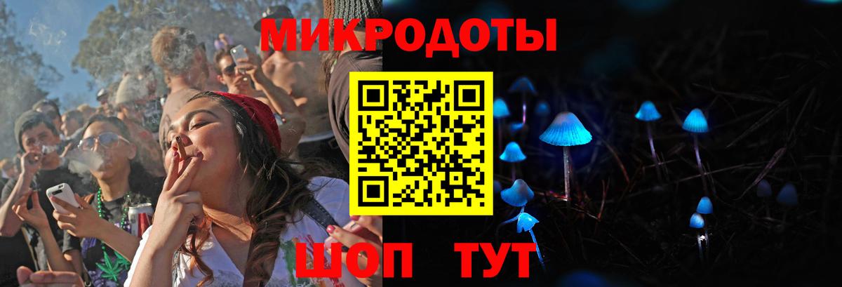 Галлюциногенные грибы Psilocybine cubensis Сибай